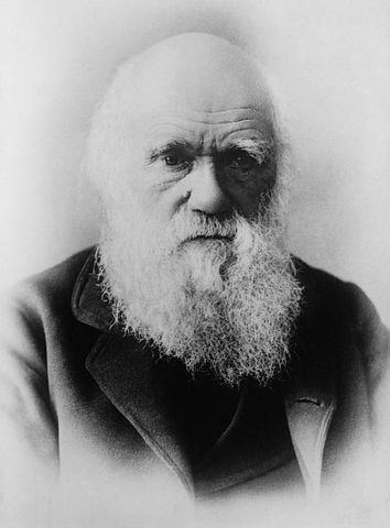 This is an image of Darwin for the Theories interactive.